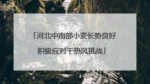 河北中南部小麦长势良好 积极应对干热风挑战