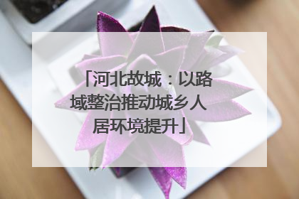 河北故城：以路域整治推动城乡人居环境提升