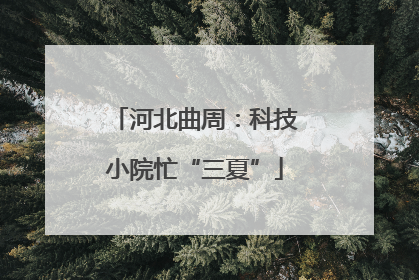 河北曲周：科技小院忙“三夏”
