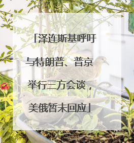 泽连斯基呼吁与特朗普、普京举行三方会谈，美俄暂未回应