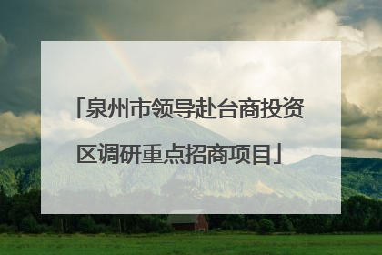 泉州市领导赴台商投资区调研重点招商项目