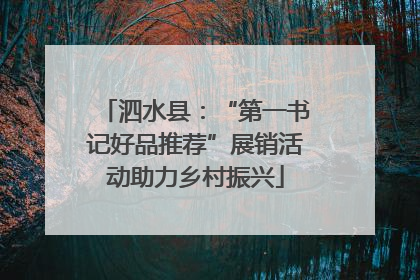 泗水县：“第一书记好品推荐”展销活动助力乡村振兴