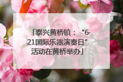 泰兴黄桥镇：“6·21国际乐器演奏日”活动在黄桥举办