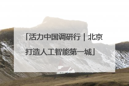 活力中国调研行｜北京打造人工智能第一城