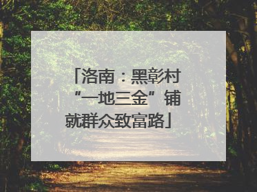 洛南：黑彰村“一地三金”铺就群众致富路