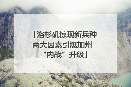 洛杉矶惊现新兵种 两大因素引爆加州“内战”升级