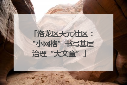洛龙区天元社区：“小网格”书写基层治理“大文章”