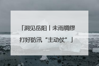 洞见岳阳丨未雨绸缪 打好防汛“主动仗”