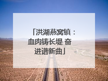 洪湖燕窝镇：血肉铸长堤 奋进谱新曲