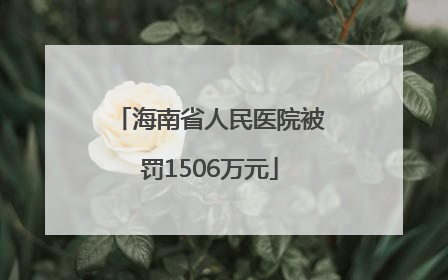 海南省人民医院被罚1506万元