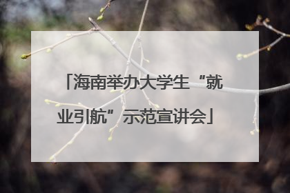 海南举办大学生“就业引航”示范宣讲会