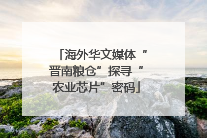 海外华文媒体“晋南粮仓”探寻“农业芯片”密码