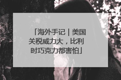 海外手记｜美国关税威力大，比利时巧克力都害怕