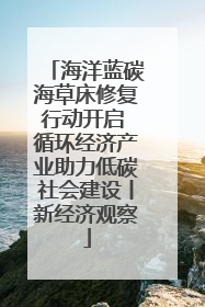 海洋蓝碳海草床修复行动开启 循环经济产业助力低碳社会建设丨新经济观察