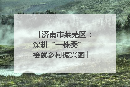 济南市莱芜区：深耕“一株桑” 绘就乡村振兴图