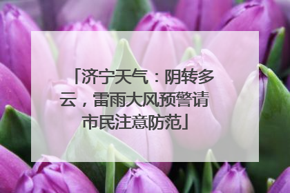 济宁天气：阴转多云，雷雨大风预警请市民注意防范