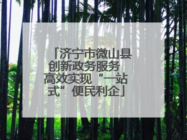 济宁市微山县创新政务服务 高效实现“一站式”便民利企