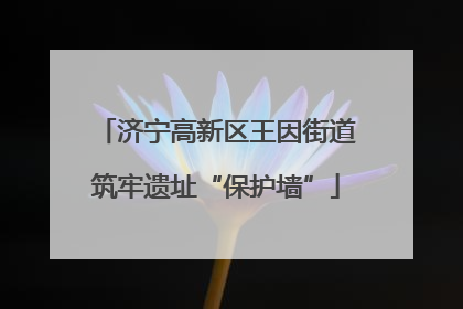 济宁高新区王因街道筑牢遗址“保护墙”