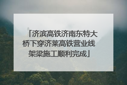 济滨高铁济南东特大桥下穿济莱高铁营业线架梁施工顺利完成
