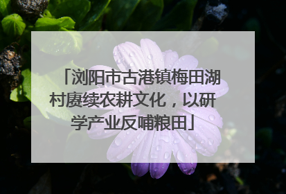 浏阳市古港镇梅田湖村赓续农耕文化，以研学产业反哺粮田