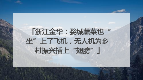 浙江金华：婺城蔬菜也“坐”上了飞机，无人机为乡村振兴插上“翅膀”