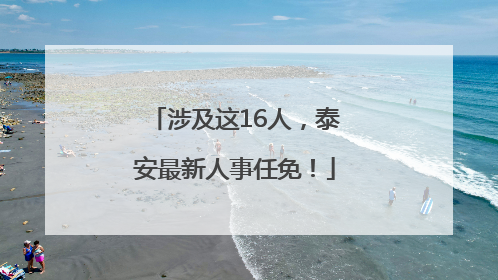 涉及这16人，泰安最新人事任免！