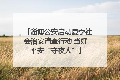 淄博公安启动夏季社会治安清查行动 当好平安“守夜人”