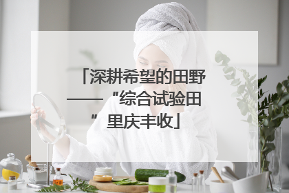 深耕希望的田野——“综合试验田”里庆丰收