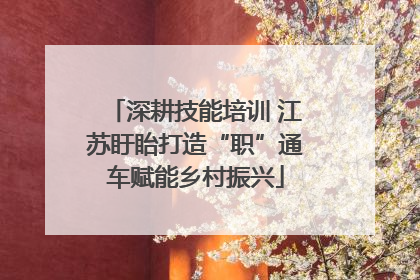 深耕技能培训 江苏盱眙打造“职”通车赋能乡村振兴