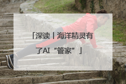 深读丨海洋精灵有了AI“管家”