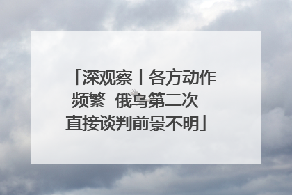 深观察丨各方动作频繁  俄乌第二次直接谈判前景不明