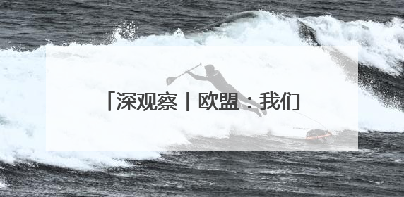 深观察丨欧盟：我们不怕与美国打关税战