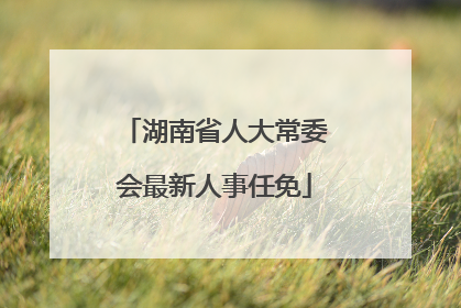 湖南省人大常委会最新人事任免