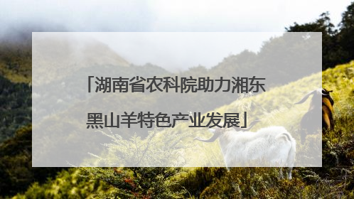 湖南省农科院助力湘东黑山羊特色产业发展
