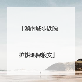 湖南城步铁腕护耕地保粮安