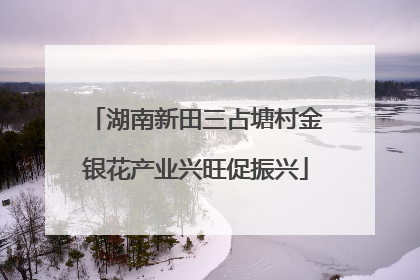 湖南新田三占塘村金银花产业兴旺促振兴