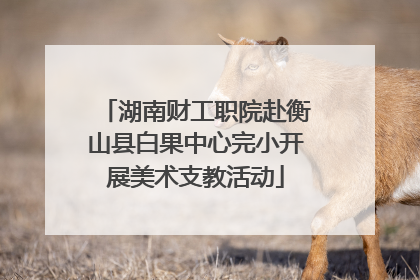 湖南财工职院赴衡山县白果中心完小开展美术支教活动