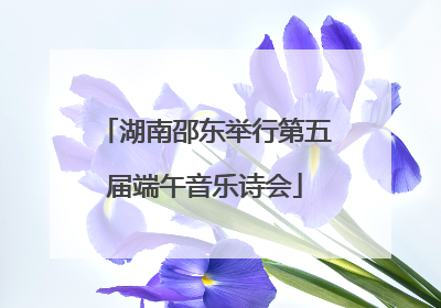 湖南邵东举行第五届端午音乐诗会