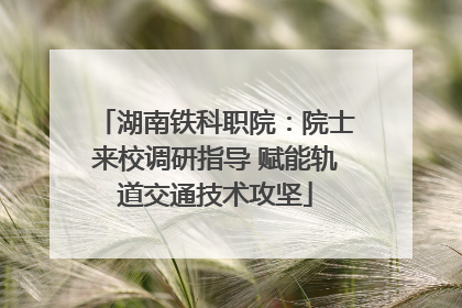 湖南铁科职院：院士来校调研指导 赋能轨道交通技术攻坚