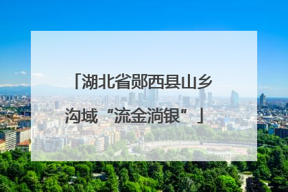 湖北省郧西县山乡沟域“流金淌银”