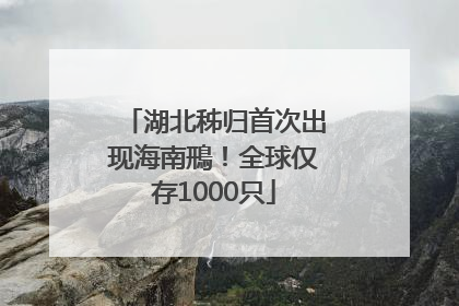 湖北秭归首次出现海南鳽！全球仅存1000只