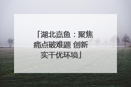 湖北嘉鱼：聚焦痛点破难题 创新实干优环境