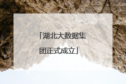 湖北大数据集团正式成立