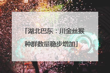 湖北巴东：川金丝猴种群数量稳步增加