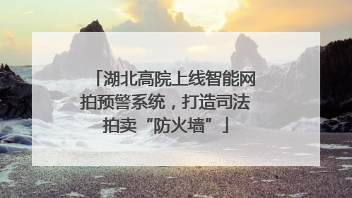 湖北高院上线智能网拍预警系统，打造司法拍卖“防火墙”