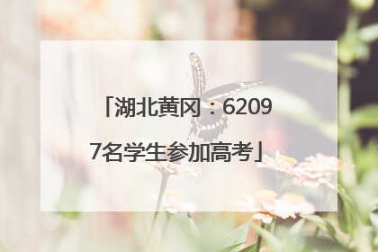 湖北黄冈：62097名学生参加高考