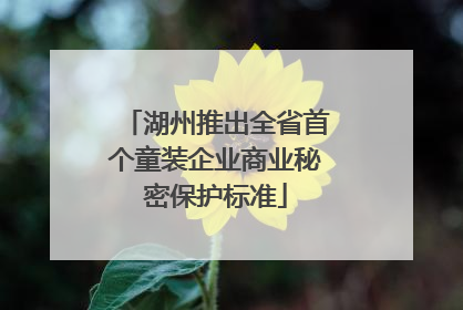 湖州推出全省首个童装企业商业秘密保护标准