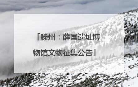 滕州：薛国遗址博物馆文物征集公告