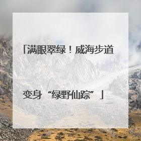 满眼翠绿！威海步道变身“绿野仙踪”
