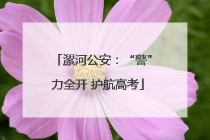 漯河公安：“警”力全开 护航高考